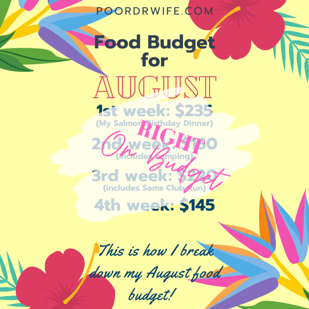 August 2020 Food Budget plan- stayed right on budget