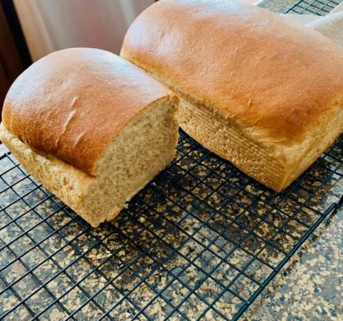 Whole Wheat Bread